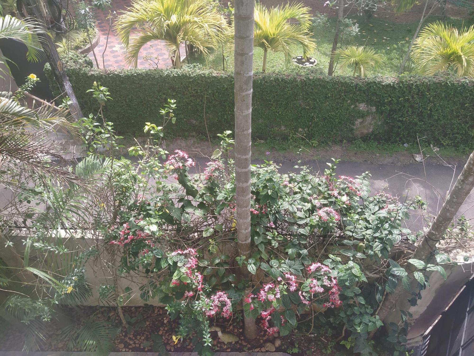 Alappuzha Paradise Inn Guest House מראה חיצוני תמונה